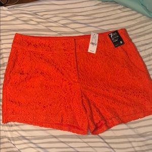 New York & Company dress shorts